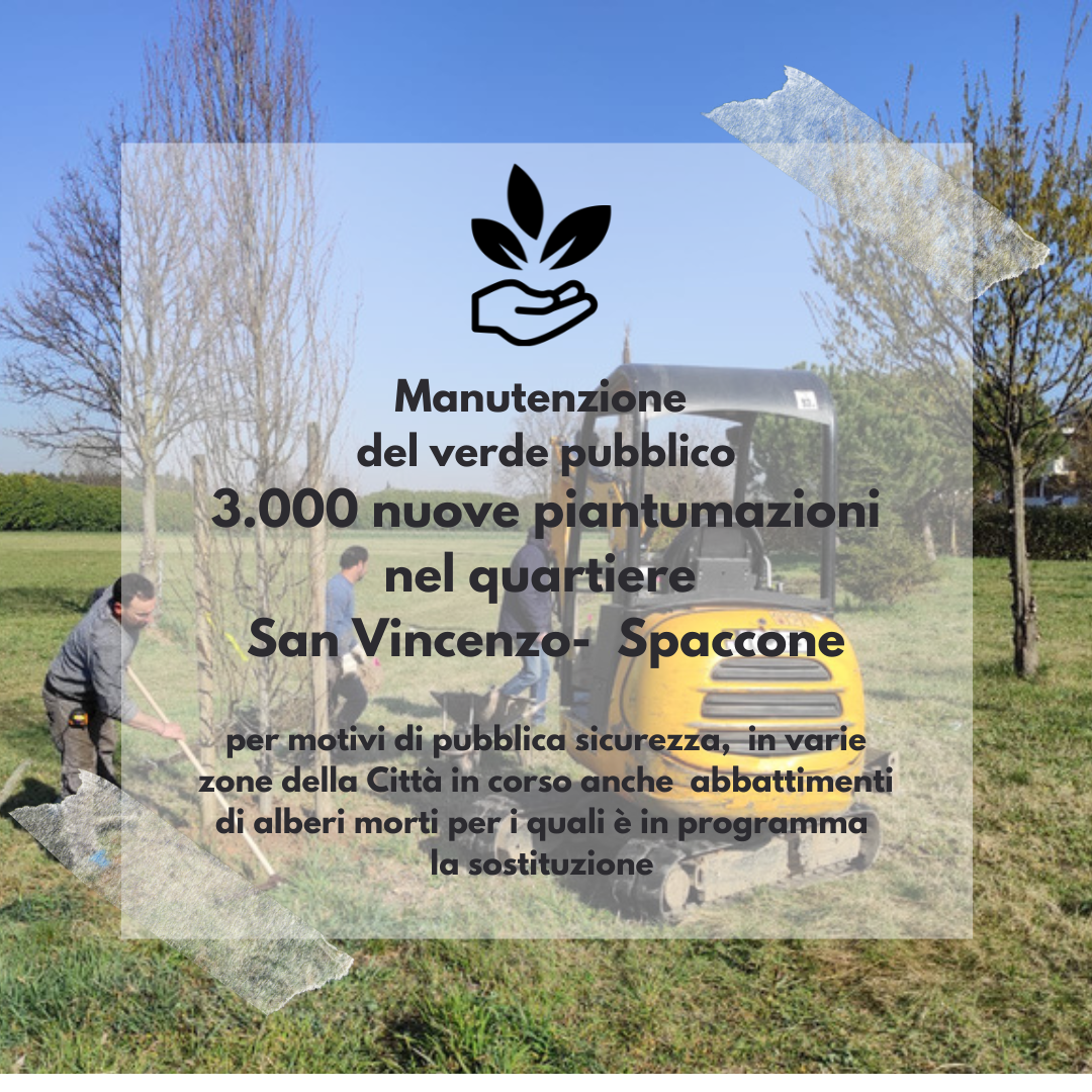 Manutenzione verde pubblico: quasi 3000 nuove piantumazioni a Spaccone