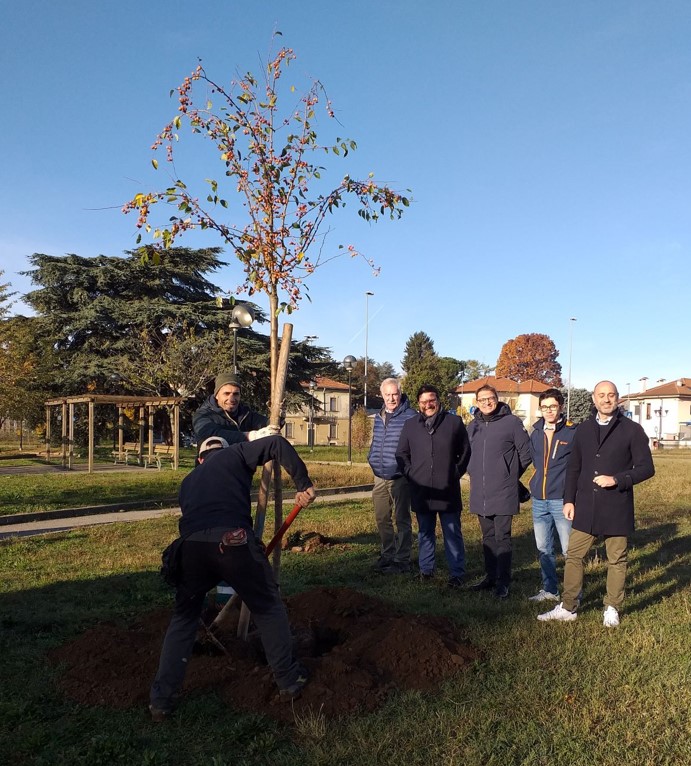 21 novembre: una festa per gli alberi in città