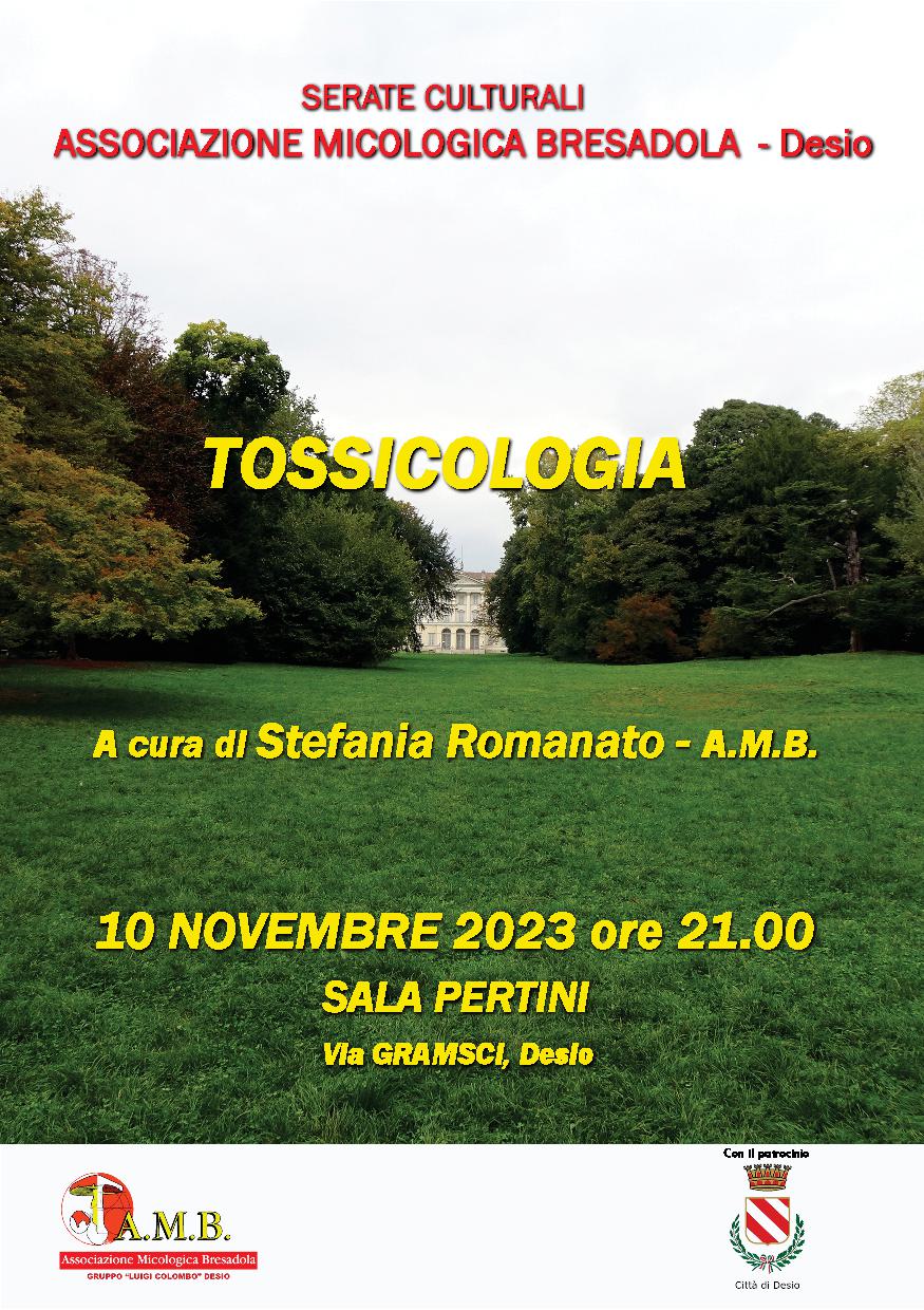 serata 10.11