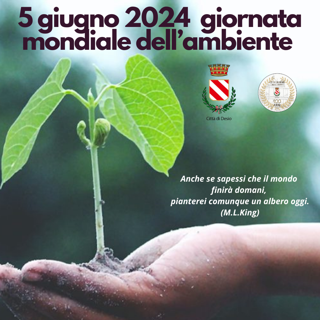 5 giugno 2024 - Giornata mondiale dell'Ambiente 