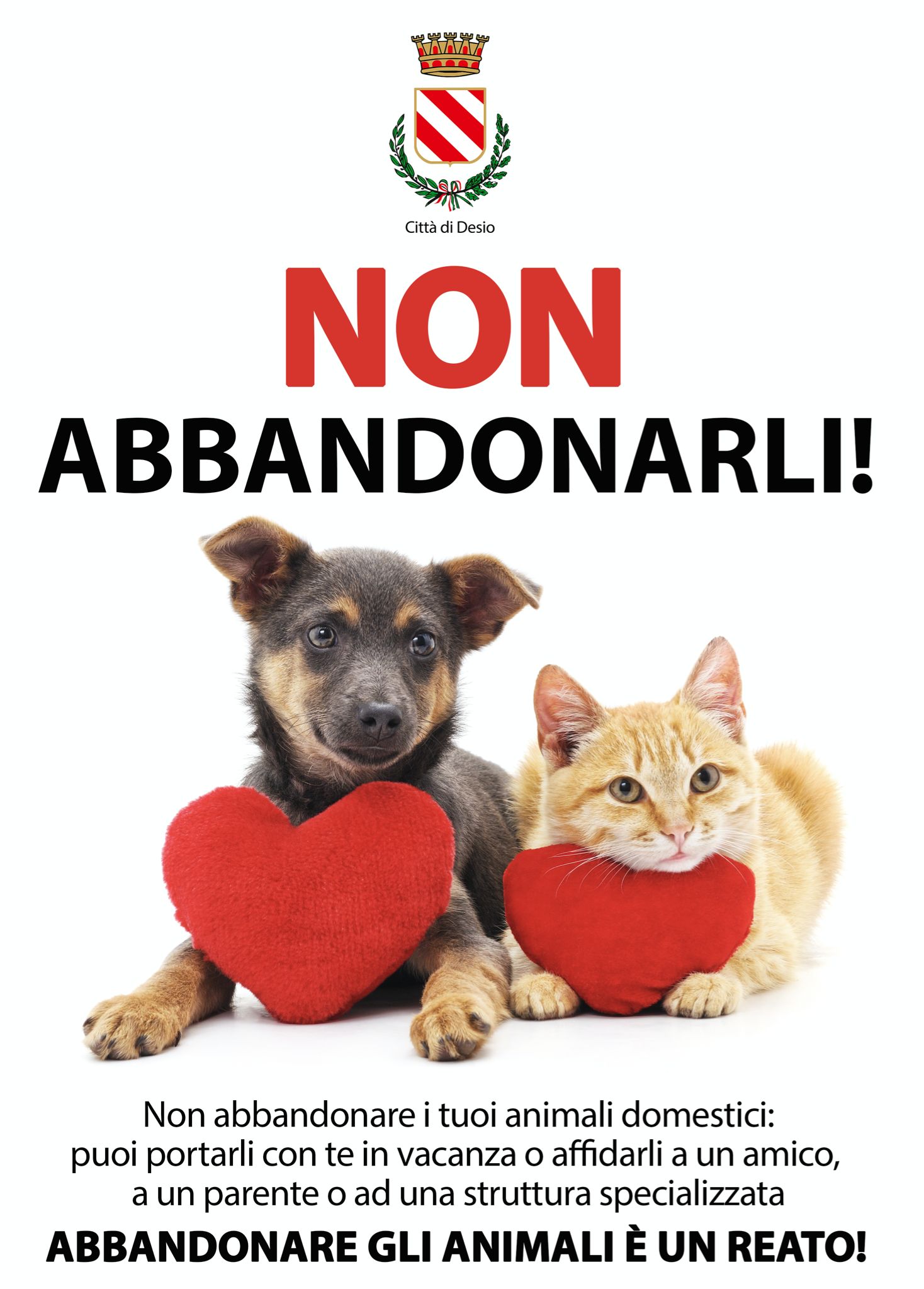 Non abbandonarli!