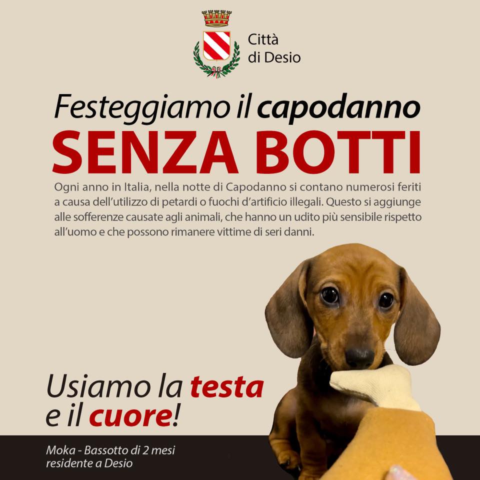 A Capodanno stop ai botti: l’invito del Sindaco di Desio