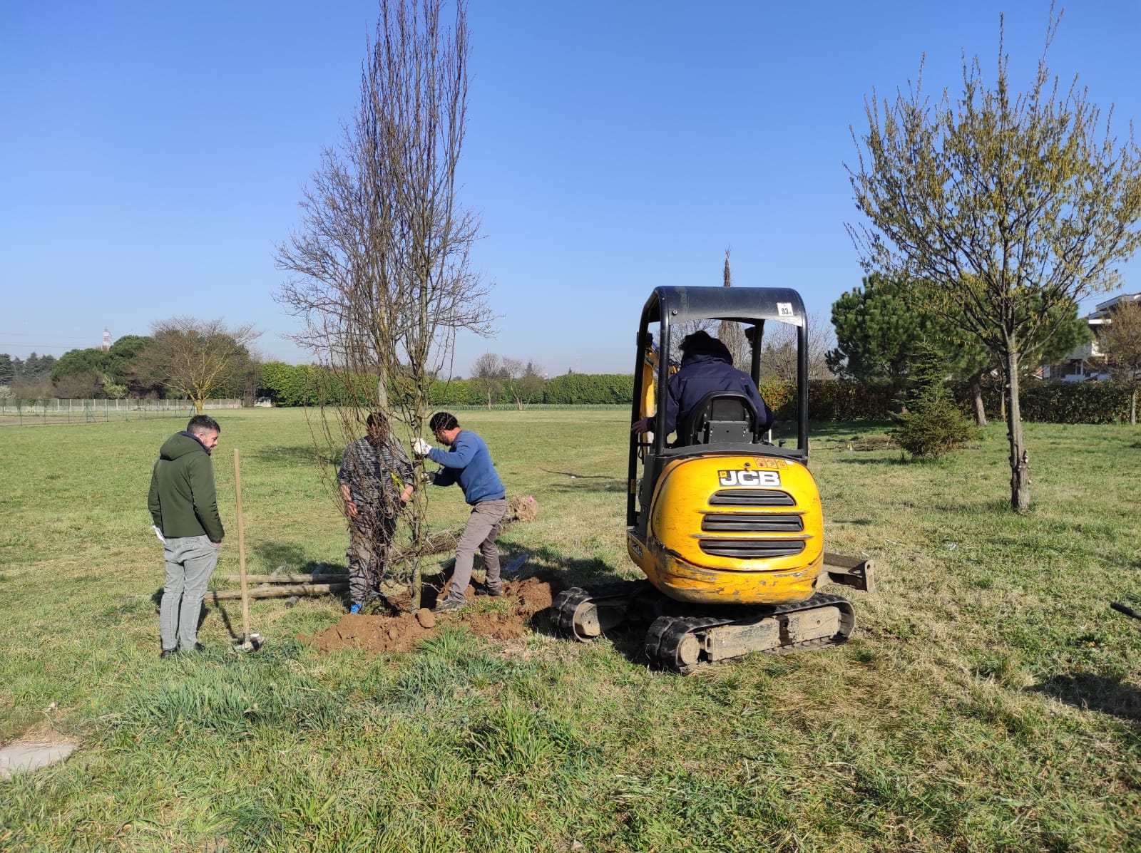 Nuove piantumazioni nell'area verde di via Martiri delle Foibe