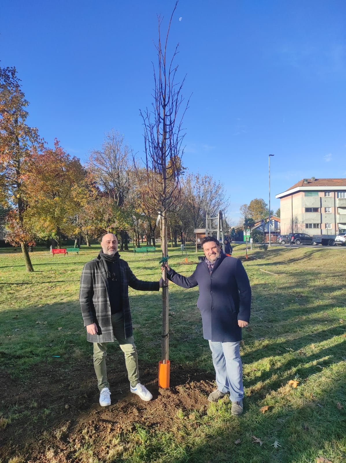 Tigli, Olmi, Bagolari, Aceri, Liriodendri, Meli ornamentali, Siliquastri e Ciliegi sono alcune delle essenze messe a dimora questa mattina, in occasione della "Giornata dell'albero"