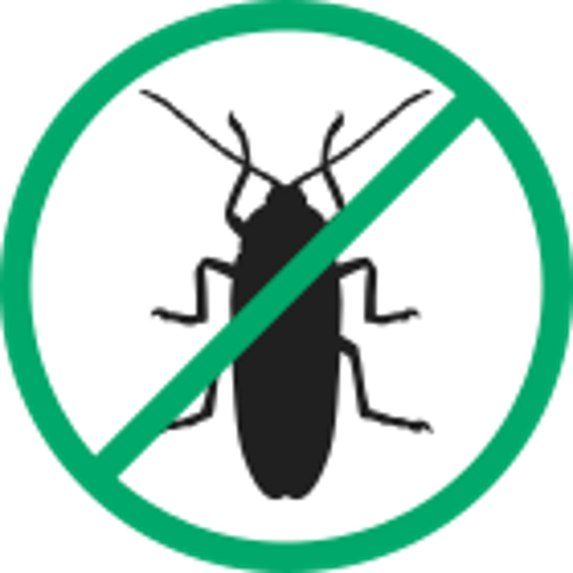 Ecologia: in corso interventi contro gli scarafaggi sulla fognatura pubblica