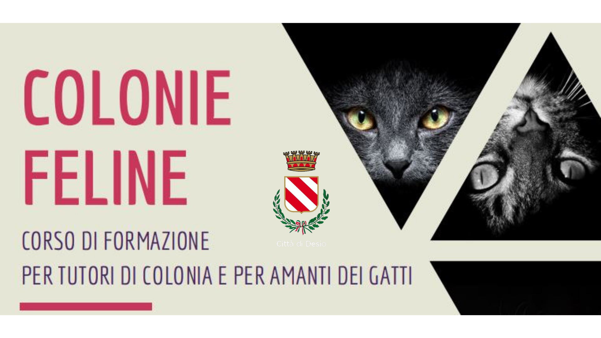 1a serata CORSO DI FORMAZIONE PER TUTORI DI COLONIE FELINE E PER AMANTI DEI GATTI