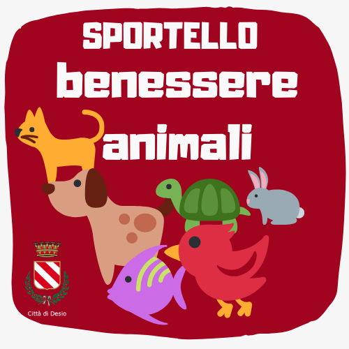 titolo immagine