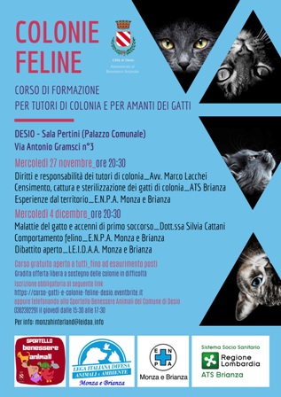 corso_COLONIE_FELINE