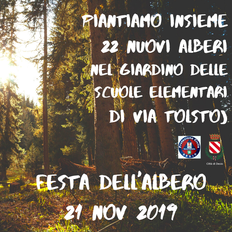21 novembre Festa dell'Albero: a Desio, grazie al nuovo regolamento del verde, saldo positivo per gli amici dell'aria.