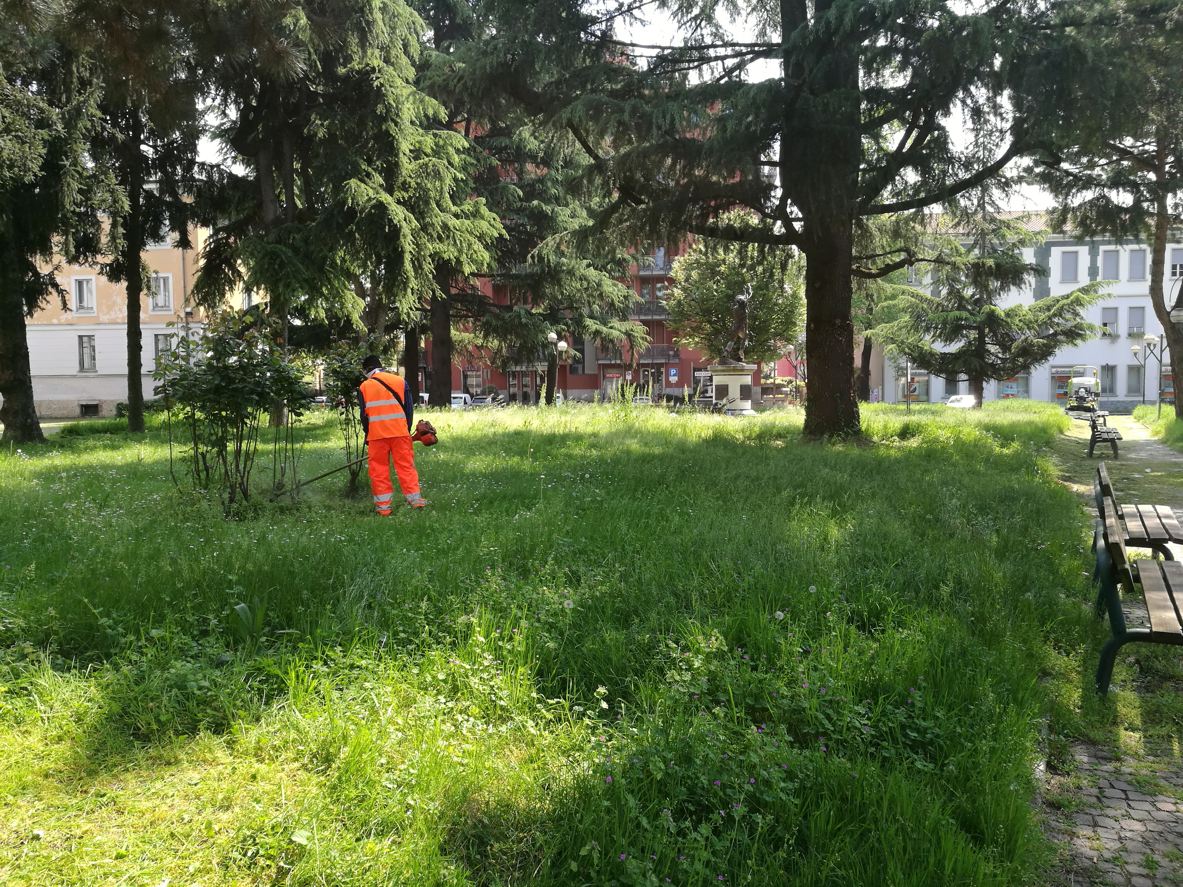 Manutenzione verde: avviati i tagli dell'erba