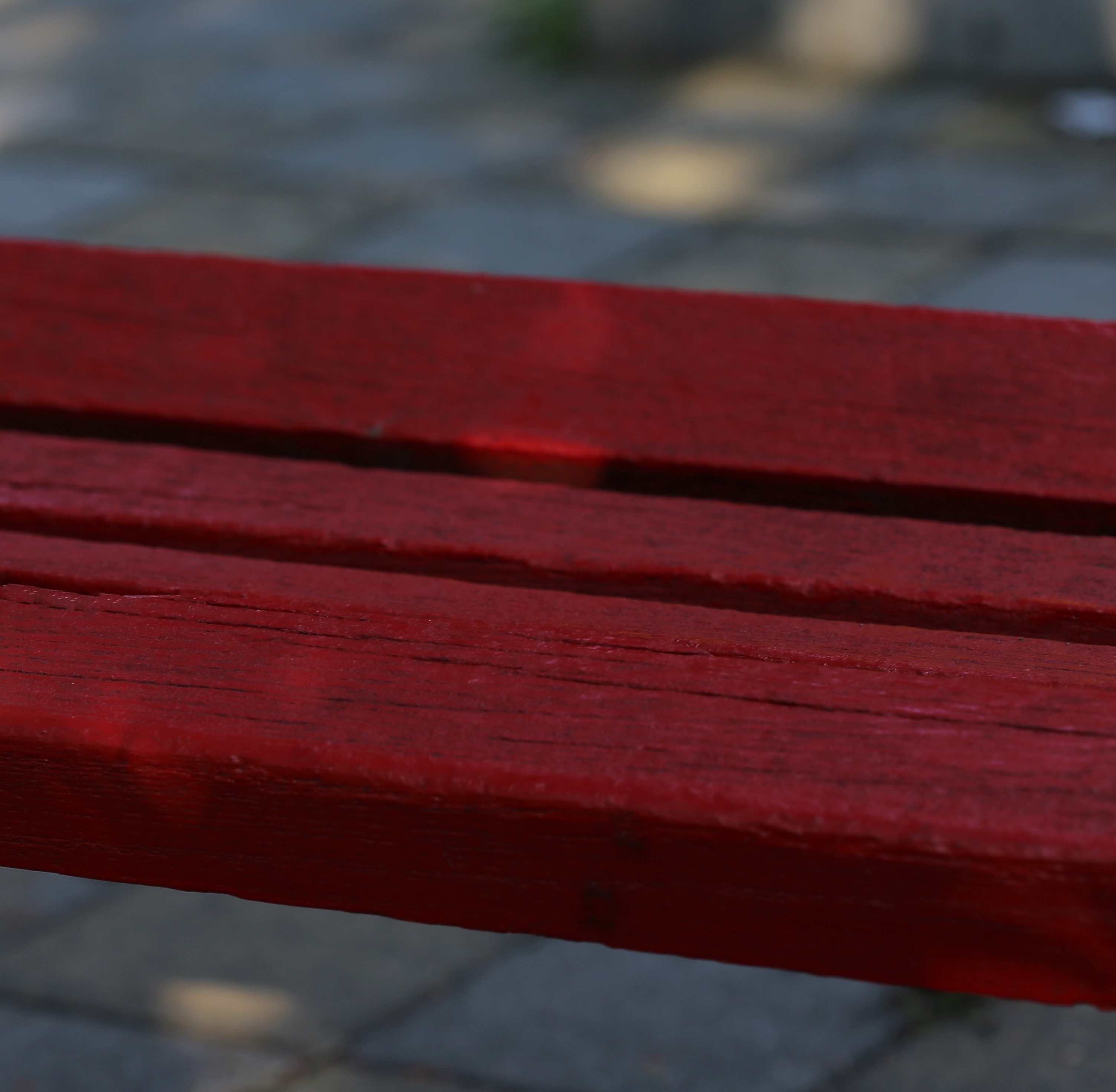 yellow-rose-on-red-bench-3624558
